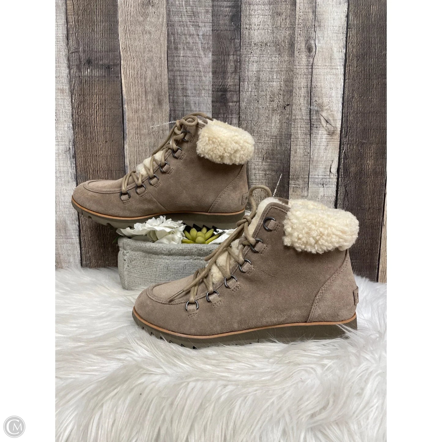 Boots Snow By Sorel In Tan, Size: 8