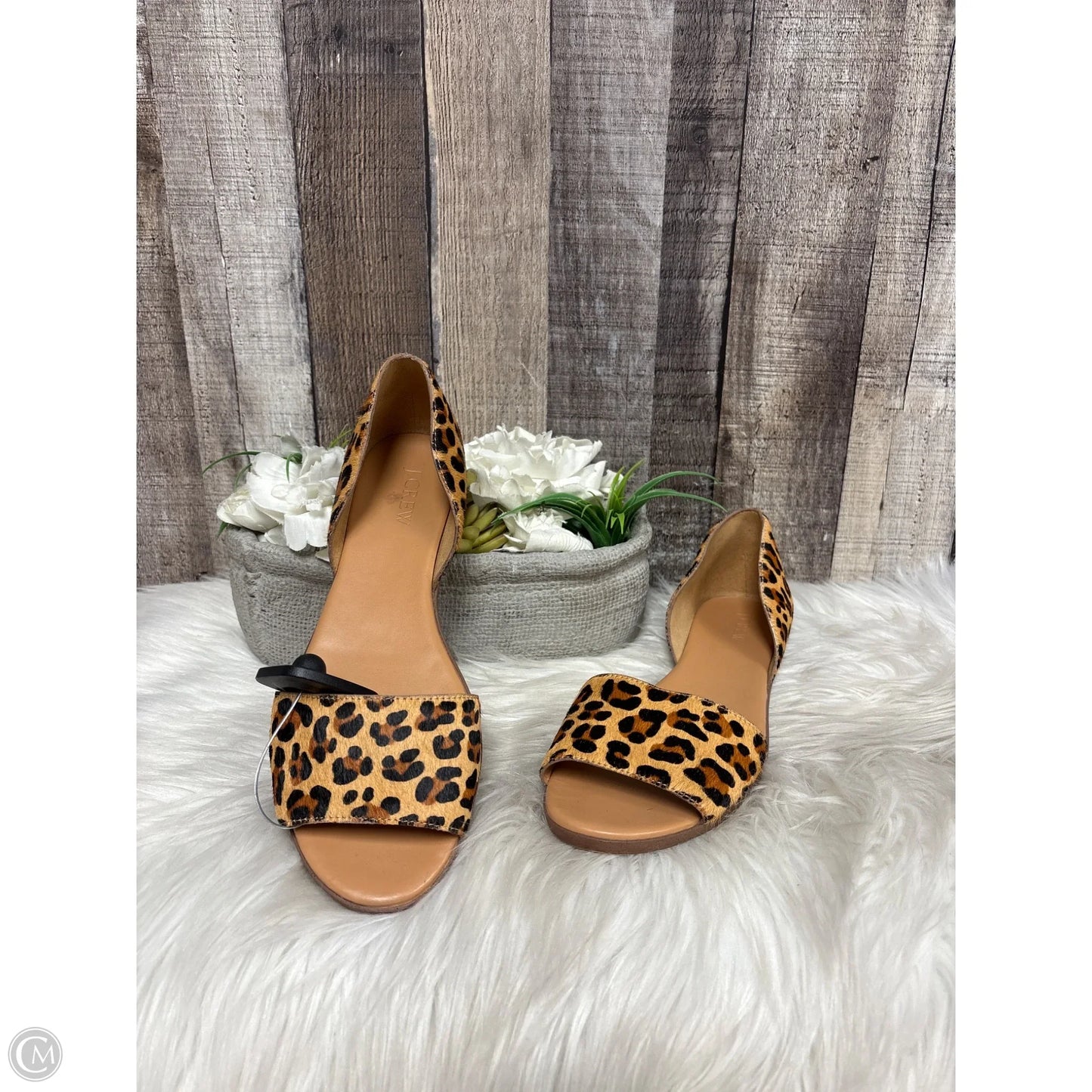 Shoes Flats By J. Crew In Animal Print, Size: 8.5