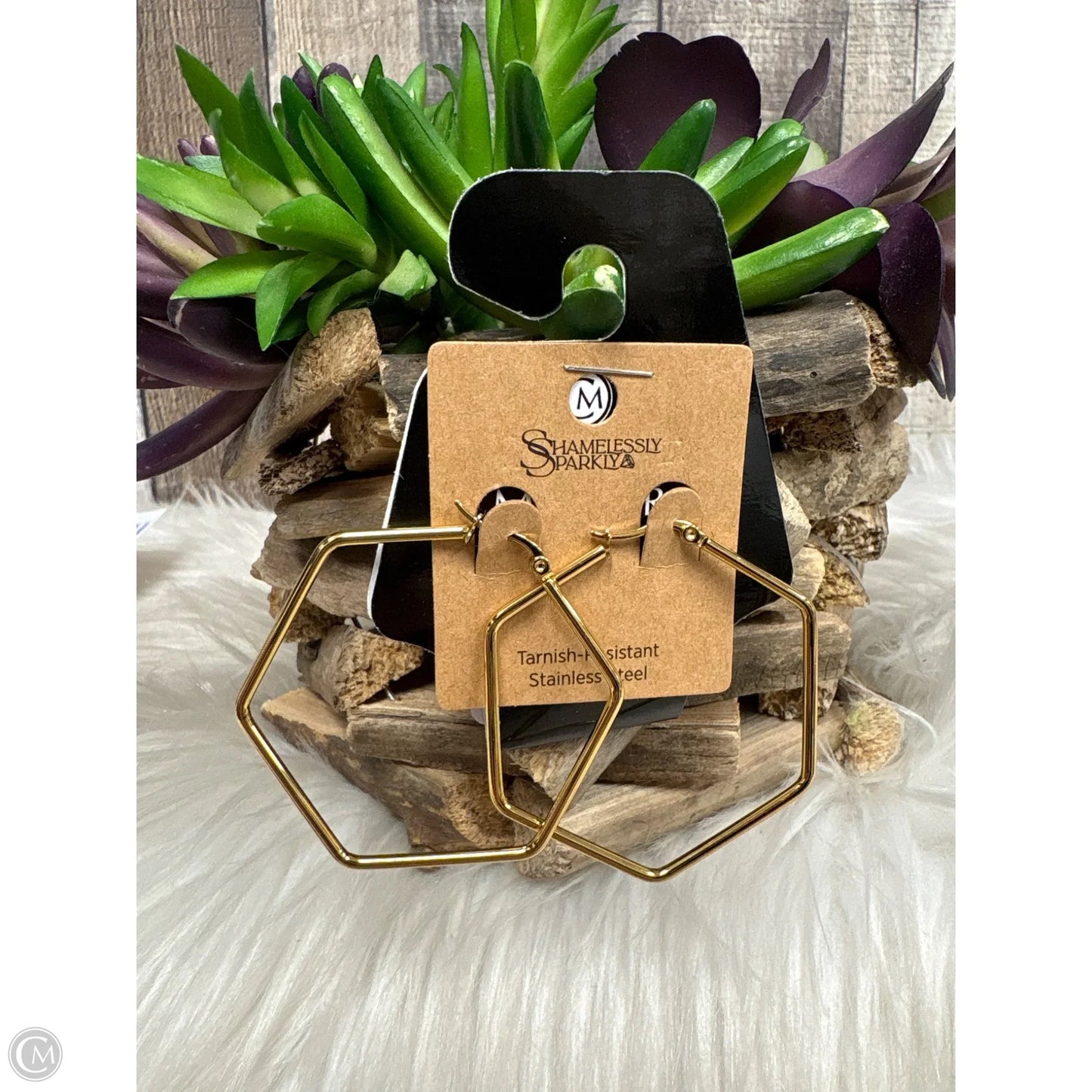 Earrings Hoop By Cme