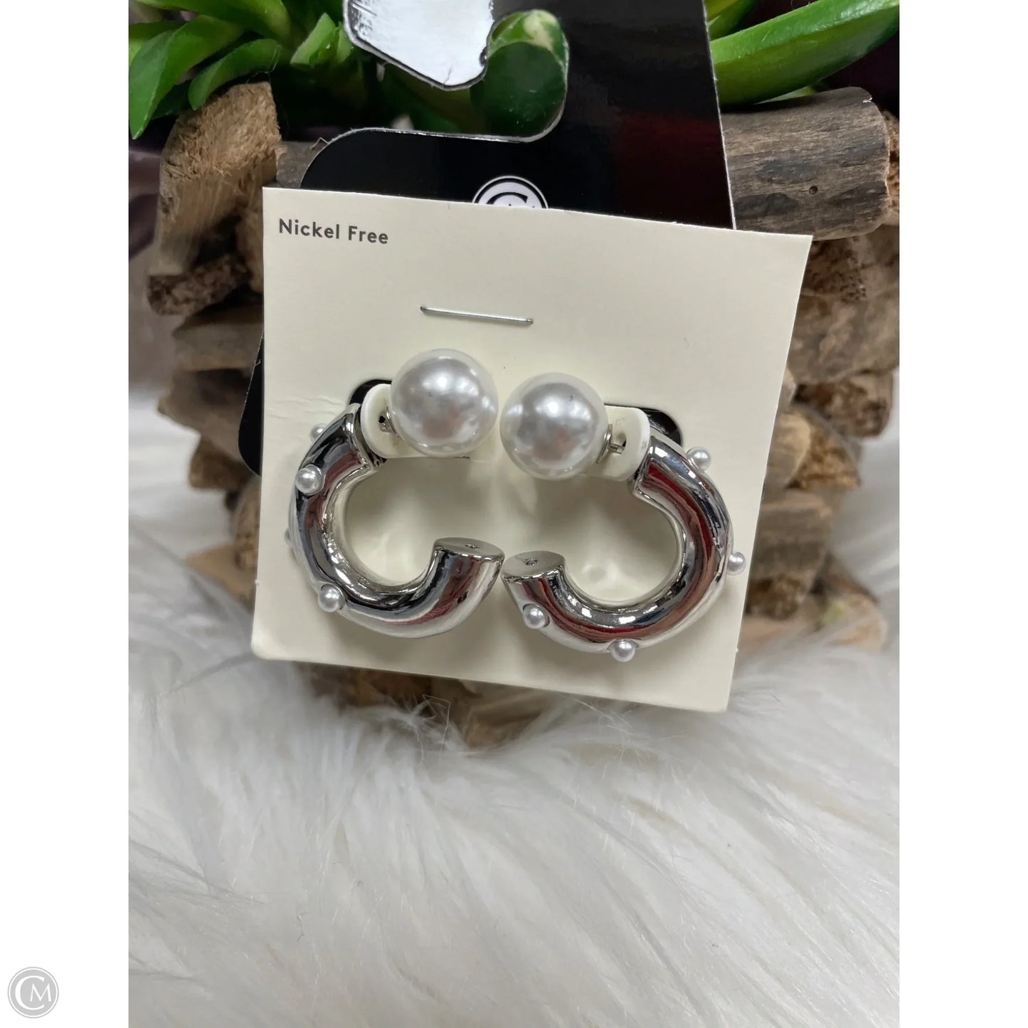 Earrings Hoop By Bp
