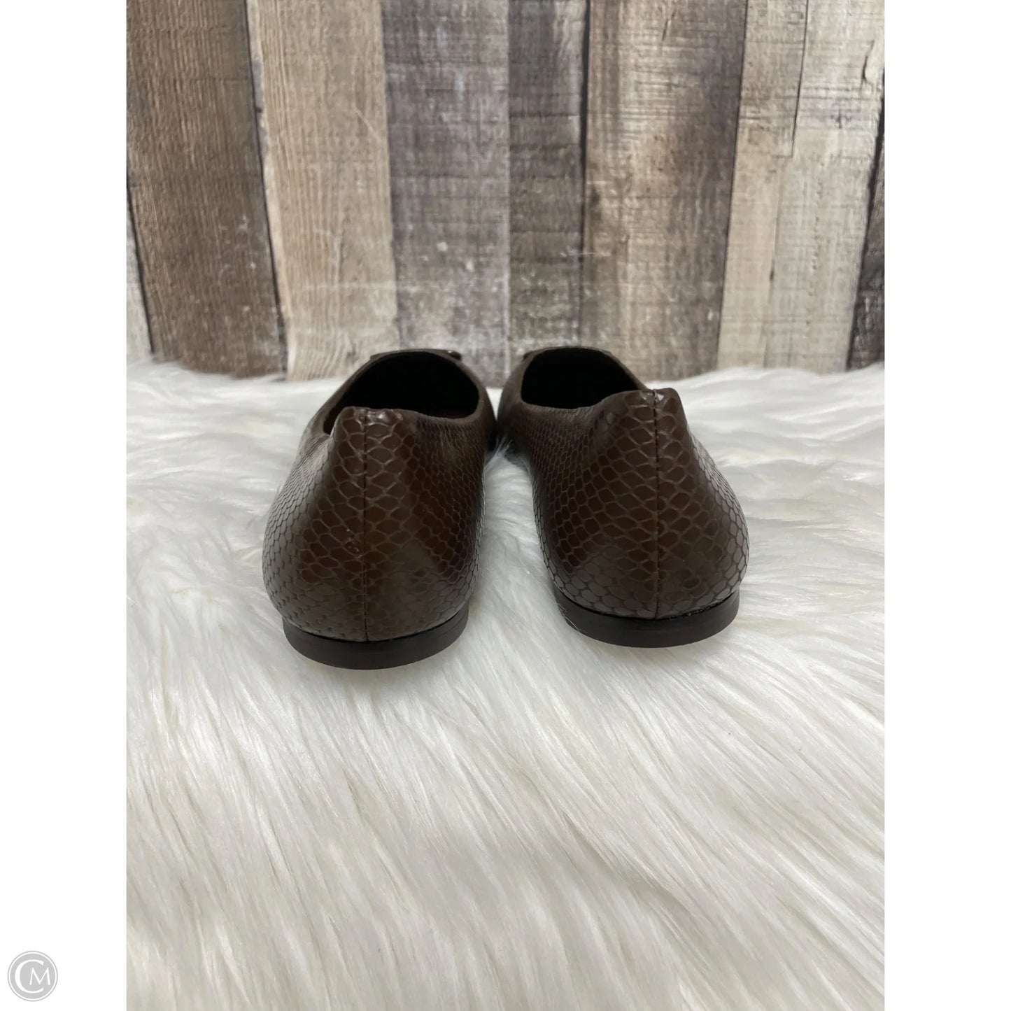 Shoes Designer By Tory Burch In Brown, Size: 7