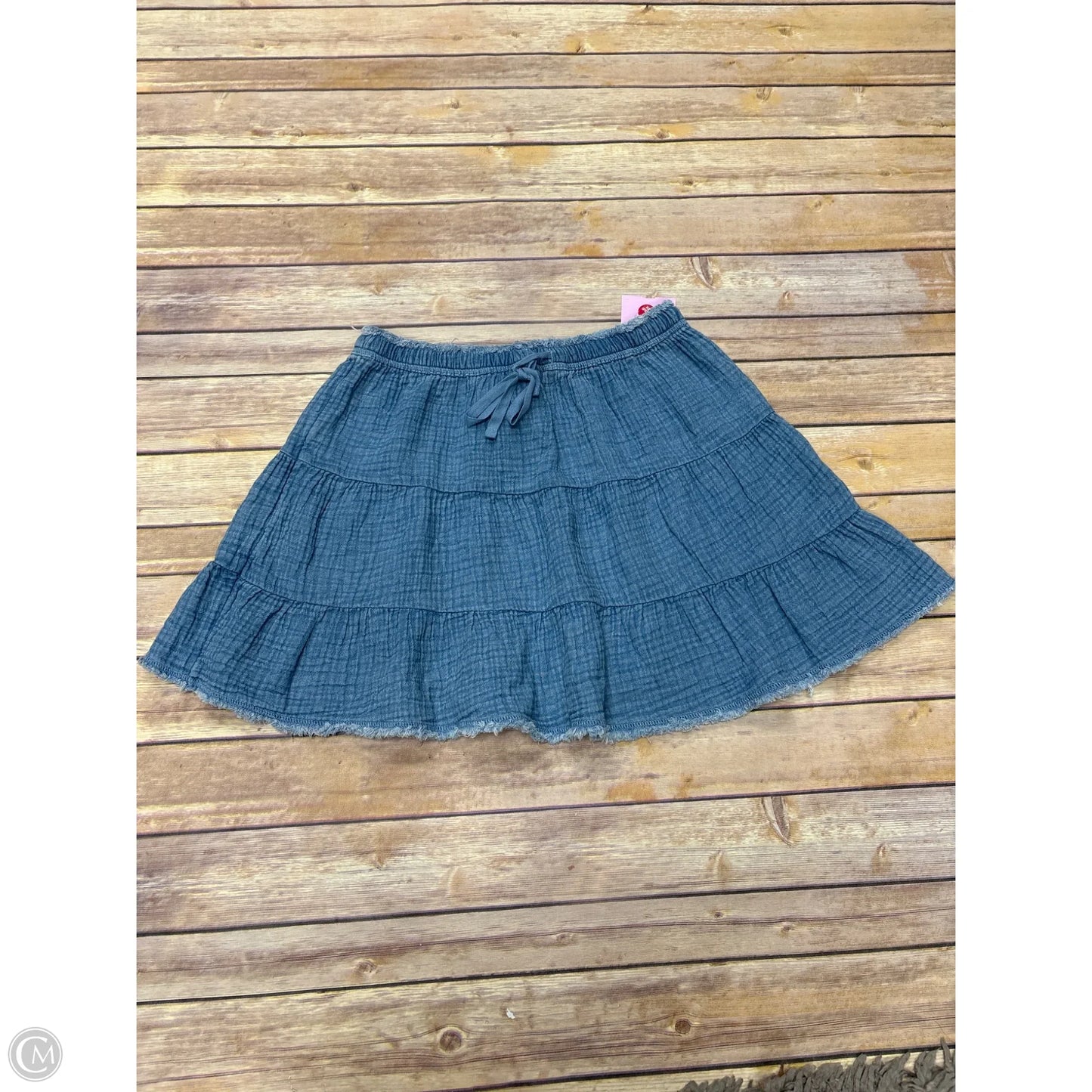 Skirt Mini & Short By Aerie In Blue, Size: S