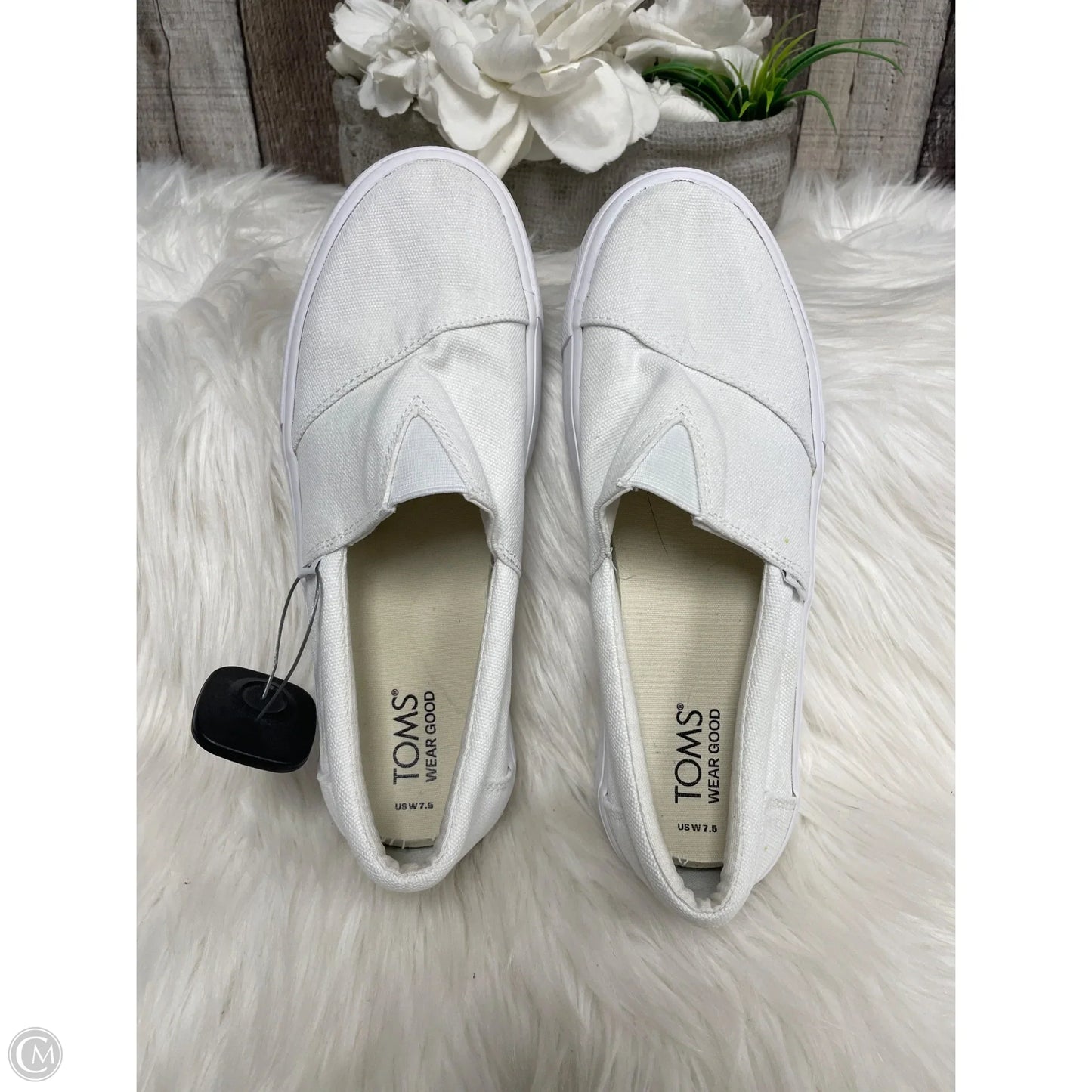 Shoes Sneakers By Toms In White, Size: 7.5