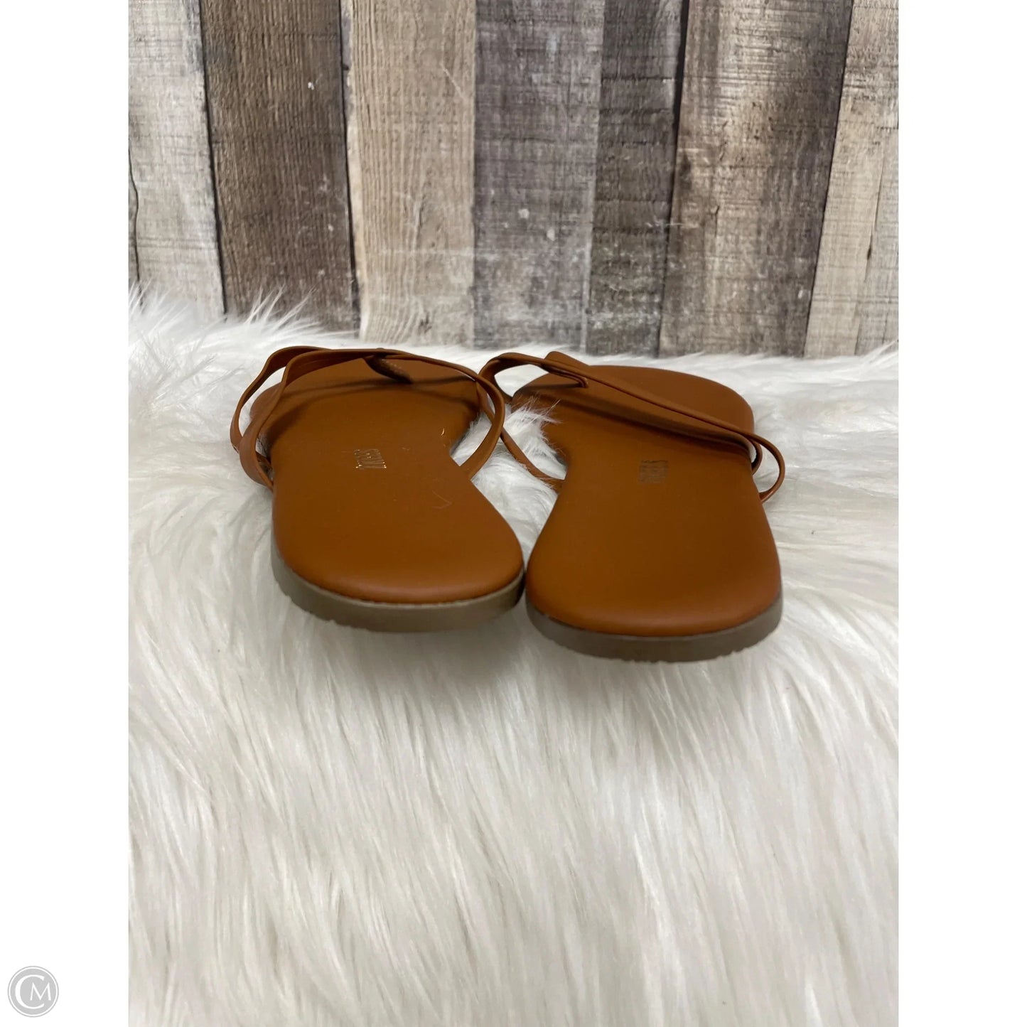 Sandals Flats By Cme In Brown, Size: 8