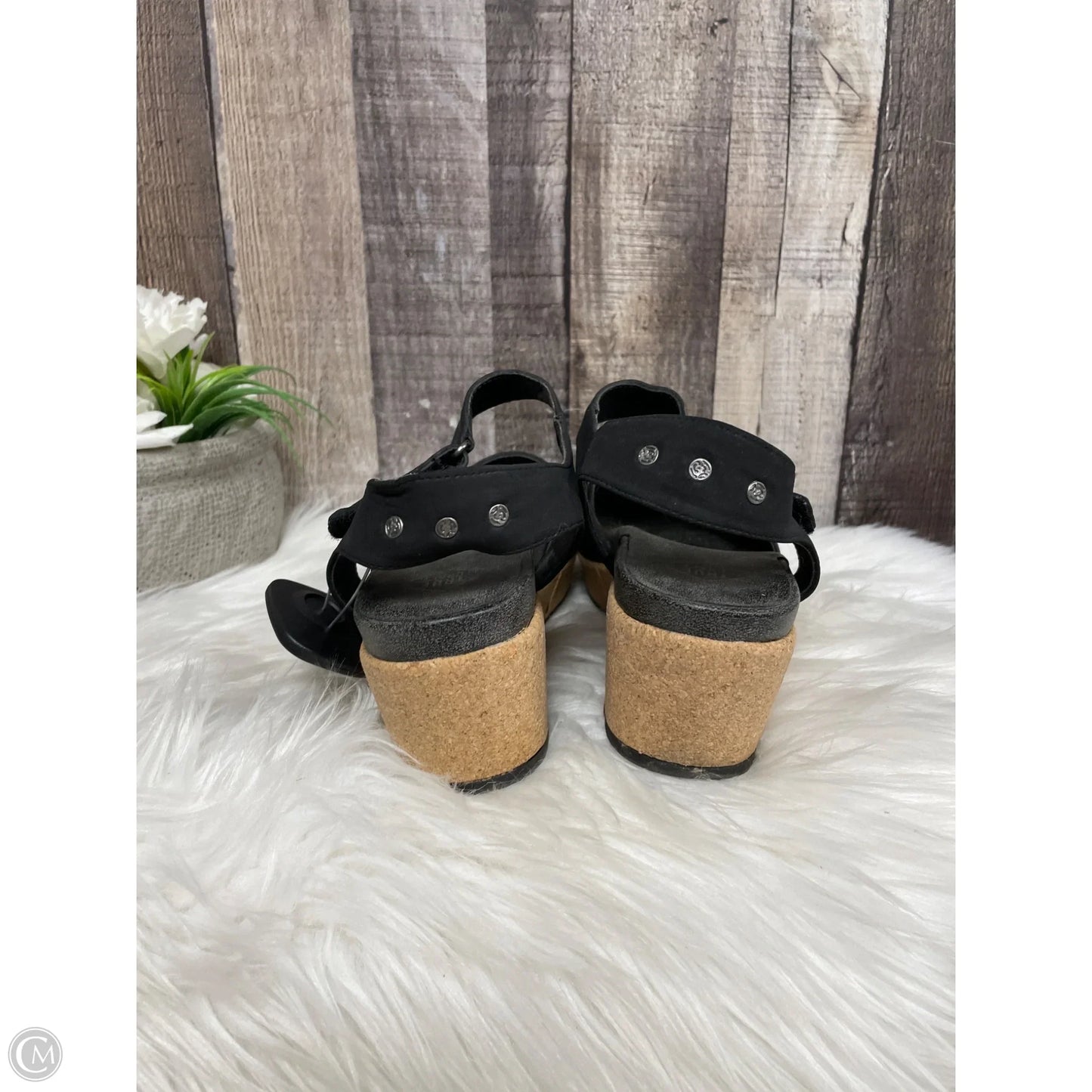 Shoes Heels Block By True Craft In Black, Size: 9