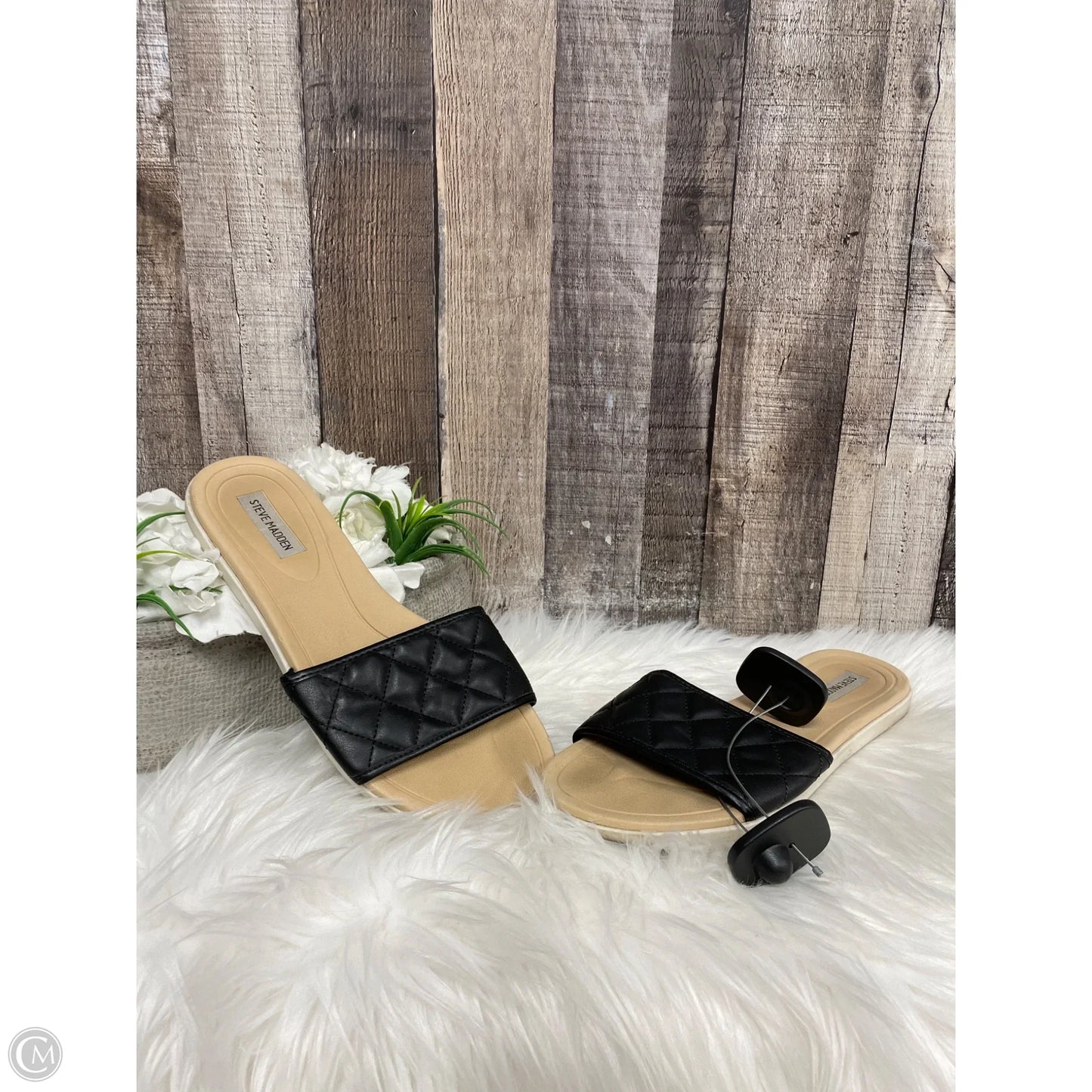 Sandals Flats By Steve Madden In Snakeskin Print, Size: 8.5