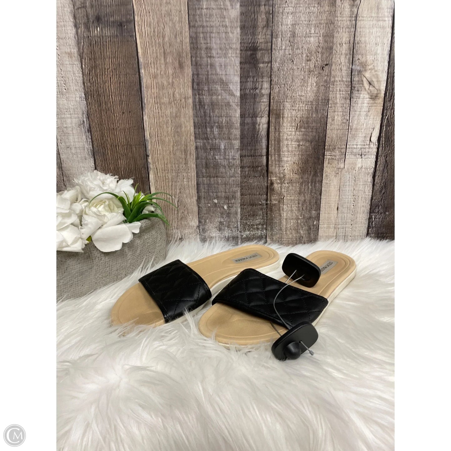 Sandals Flats By Steve Madden In Snakeskin Print, Size: 8.5