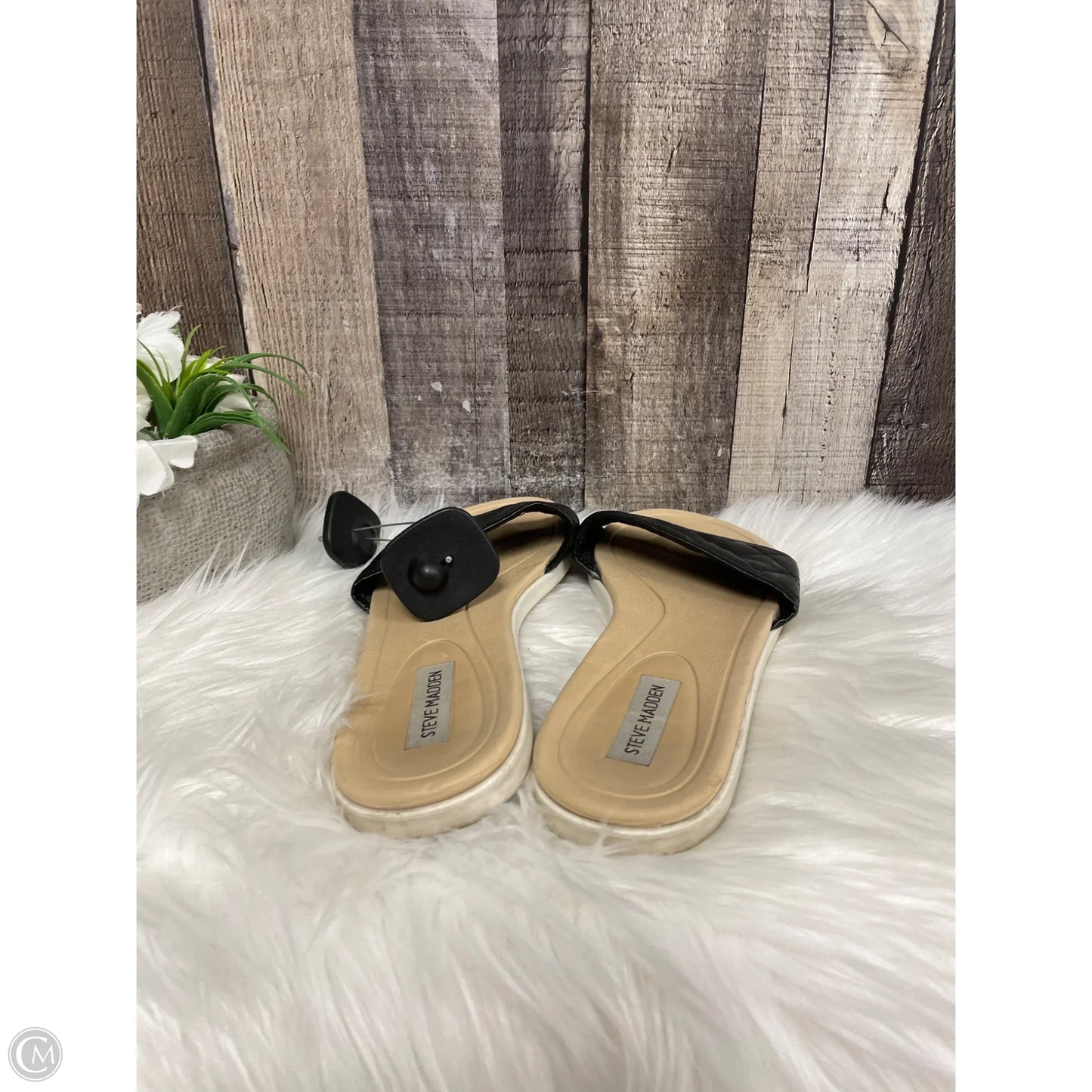 Sandals Flats By Steve Madden In Snakeskin Print, Size: 8.5