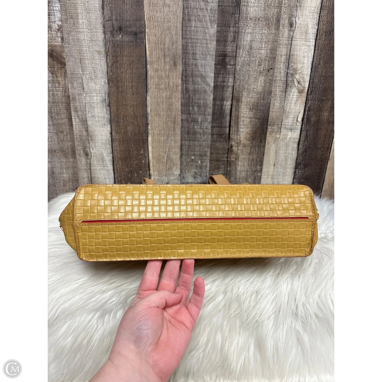 Handbag By Hammitt, Size: Large