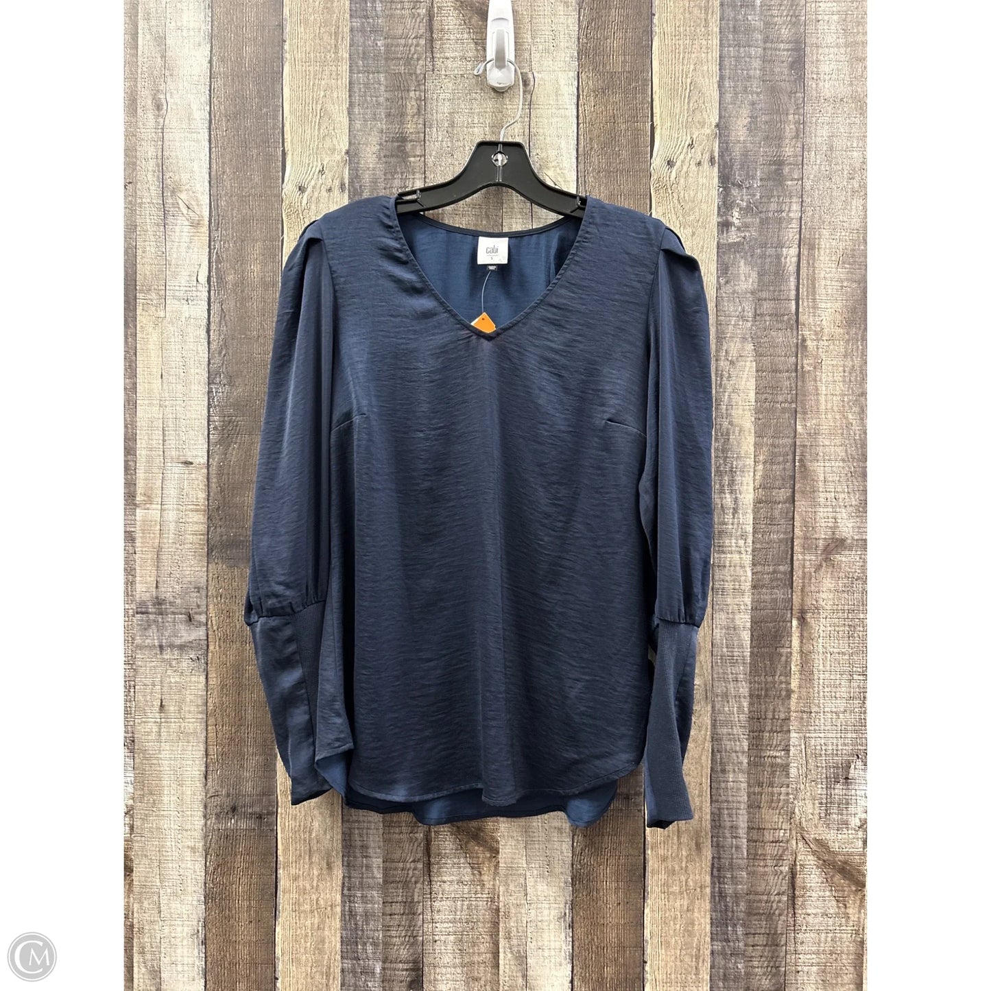 Top Long Sleeve By Cabi In Blue, Size: S