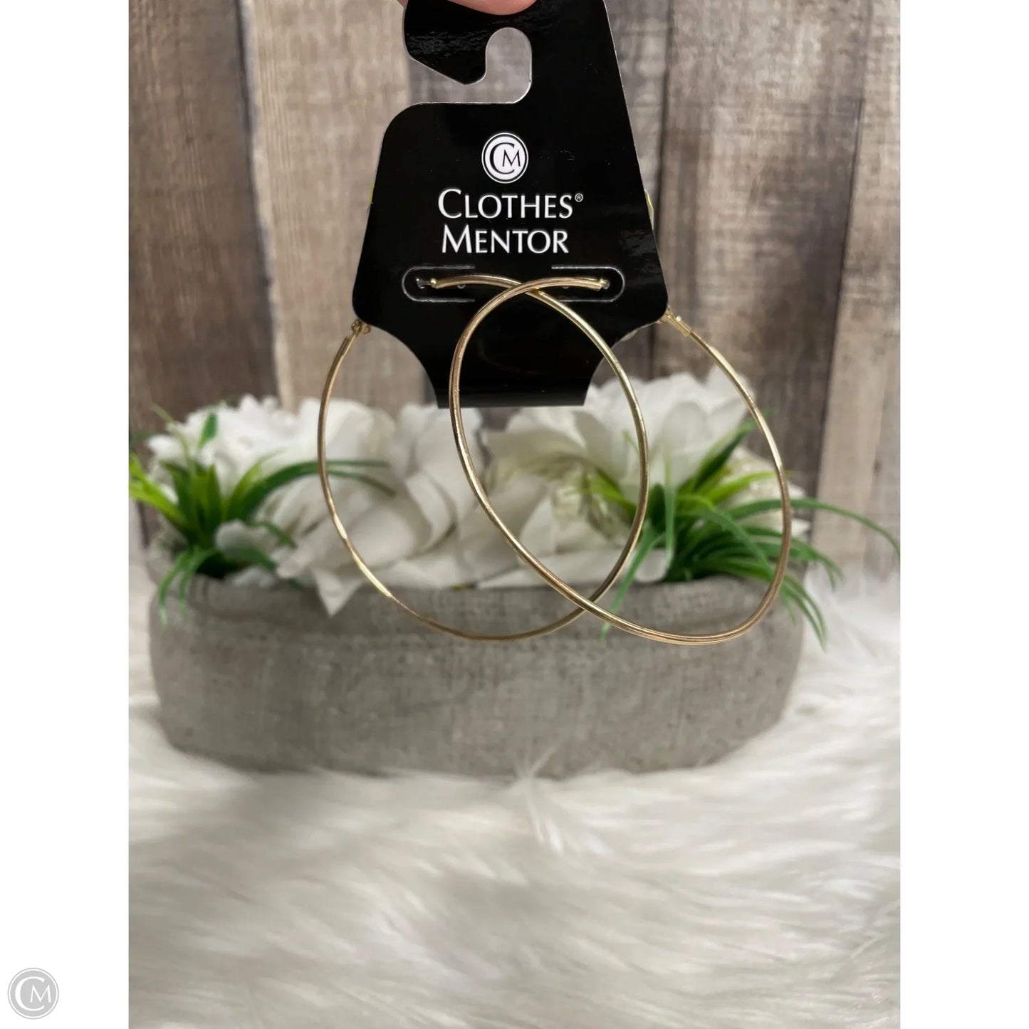 Earrings Hoop By Cme