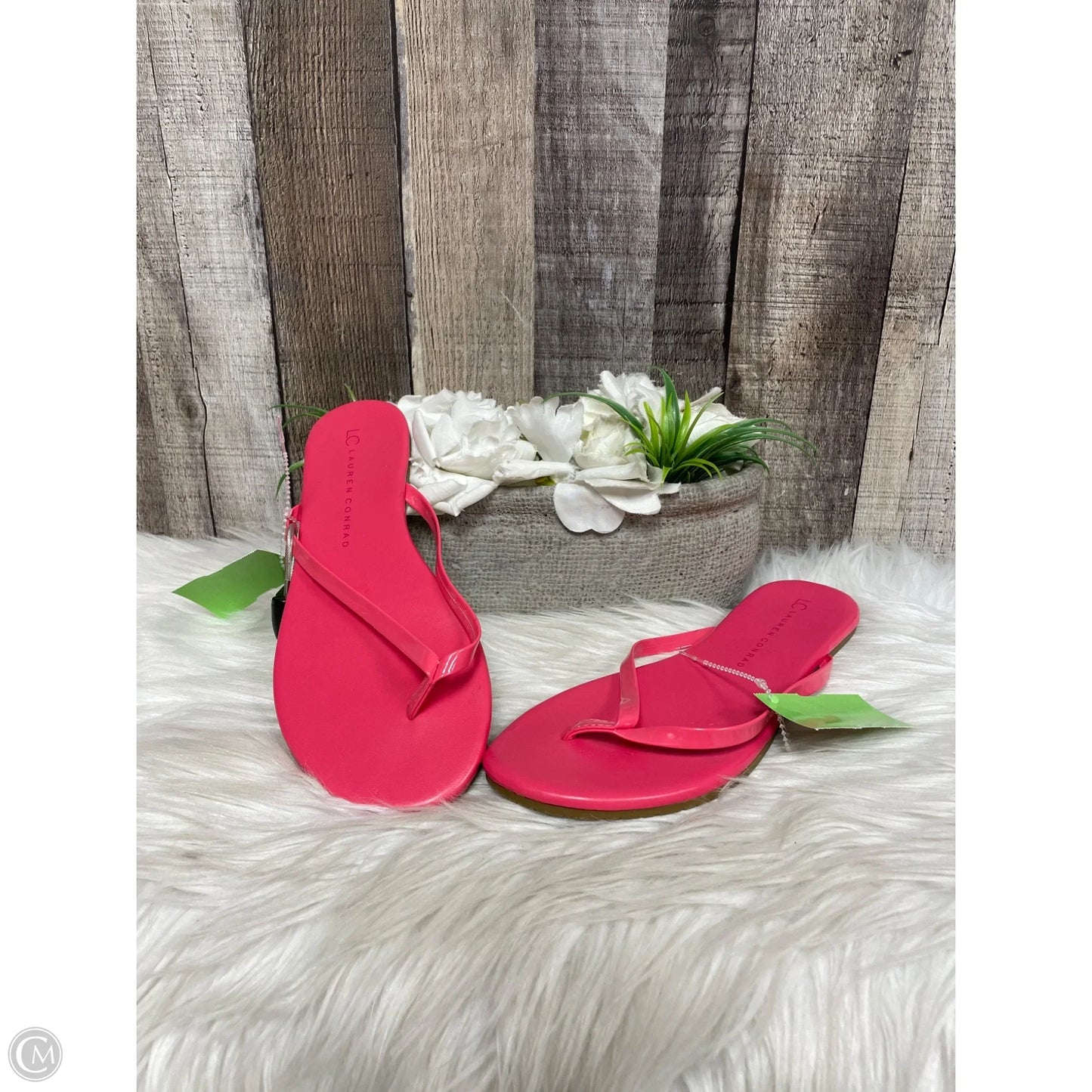 Sandals Flats By Lc Lauren Conrad In Pink, Size: 8