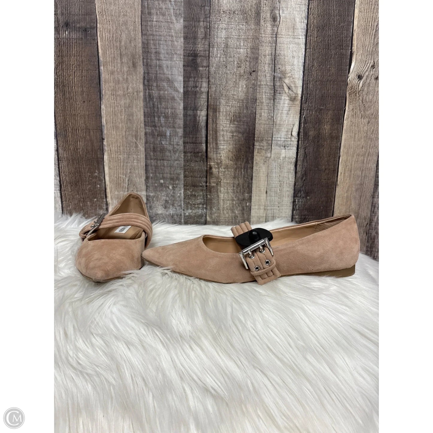 Shoes Flats By Steve Madden In Tan, Size: 8