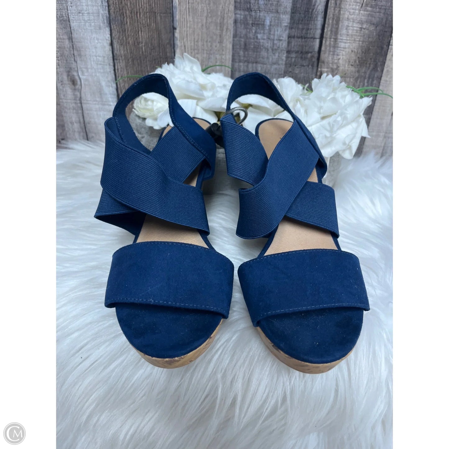 Sandals Heels Wedge By American Eagle In Blue, Size: 8