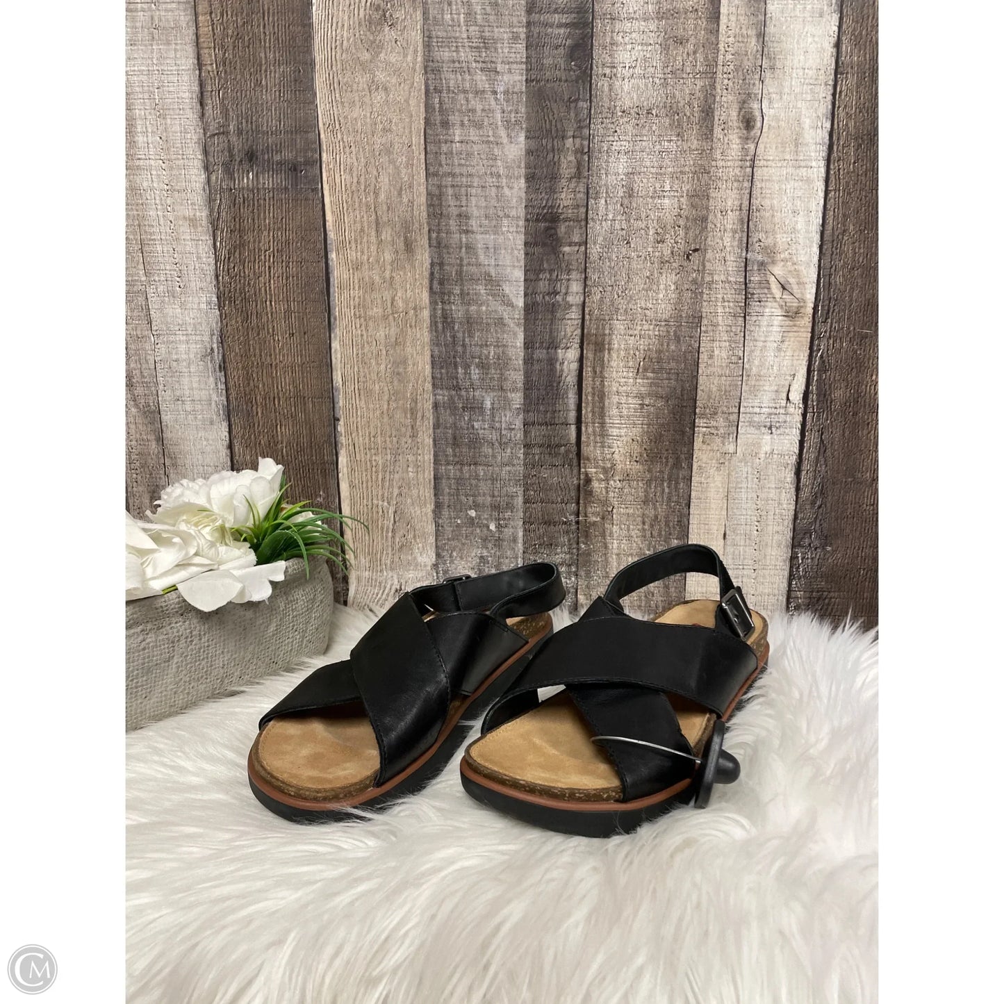 Sandals Flats By Clarks In Black, Size: 8