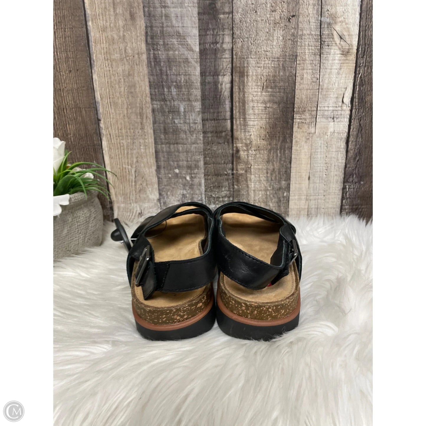 Sandals Flats By Clarks In Black, Size: 8