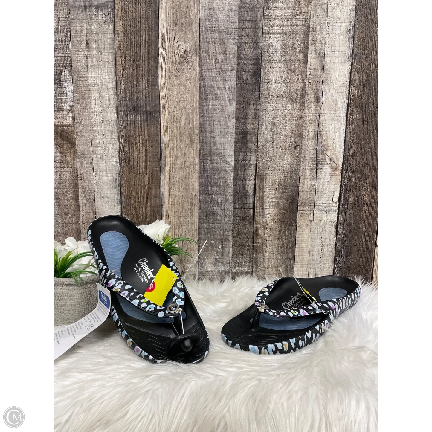 Sandals Flip Flops By Cme In Multi-colored, Size: 12