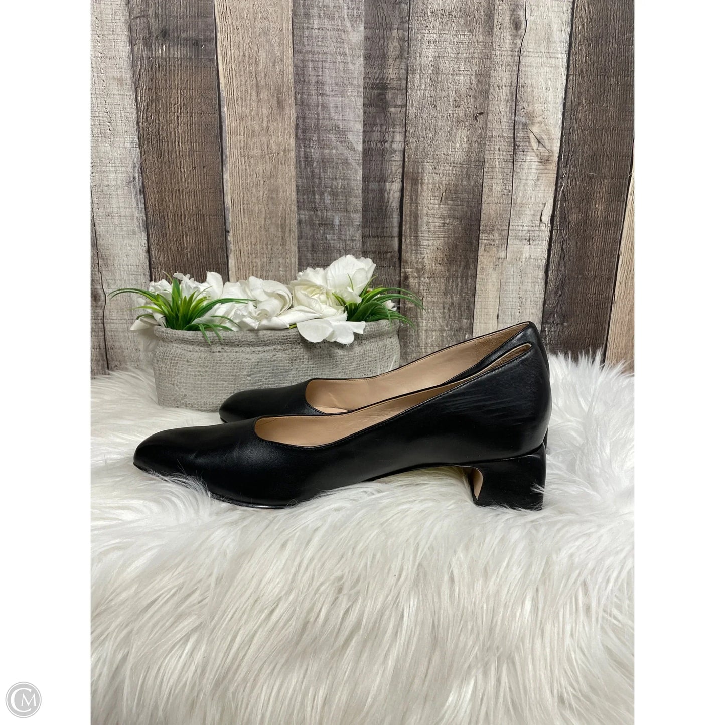 Shoes Heels Block By Naturalizer In Black, Size: 9