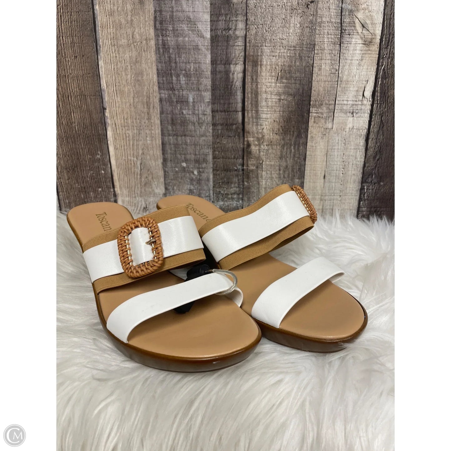 Sandals Heels Wedge By Toscanella In Multi-colored, Size: 10