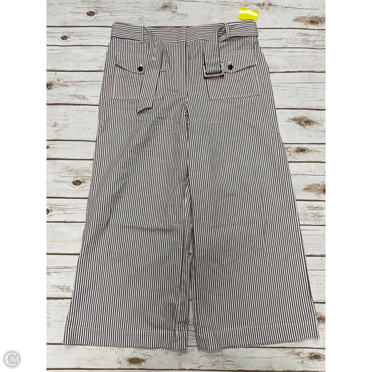 Pants Cropped By Loft In Brown & White, Size: 12