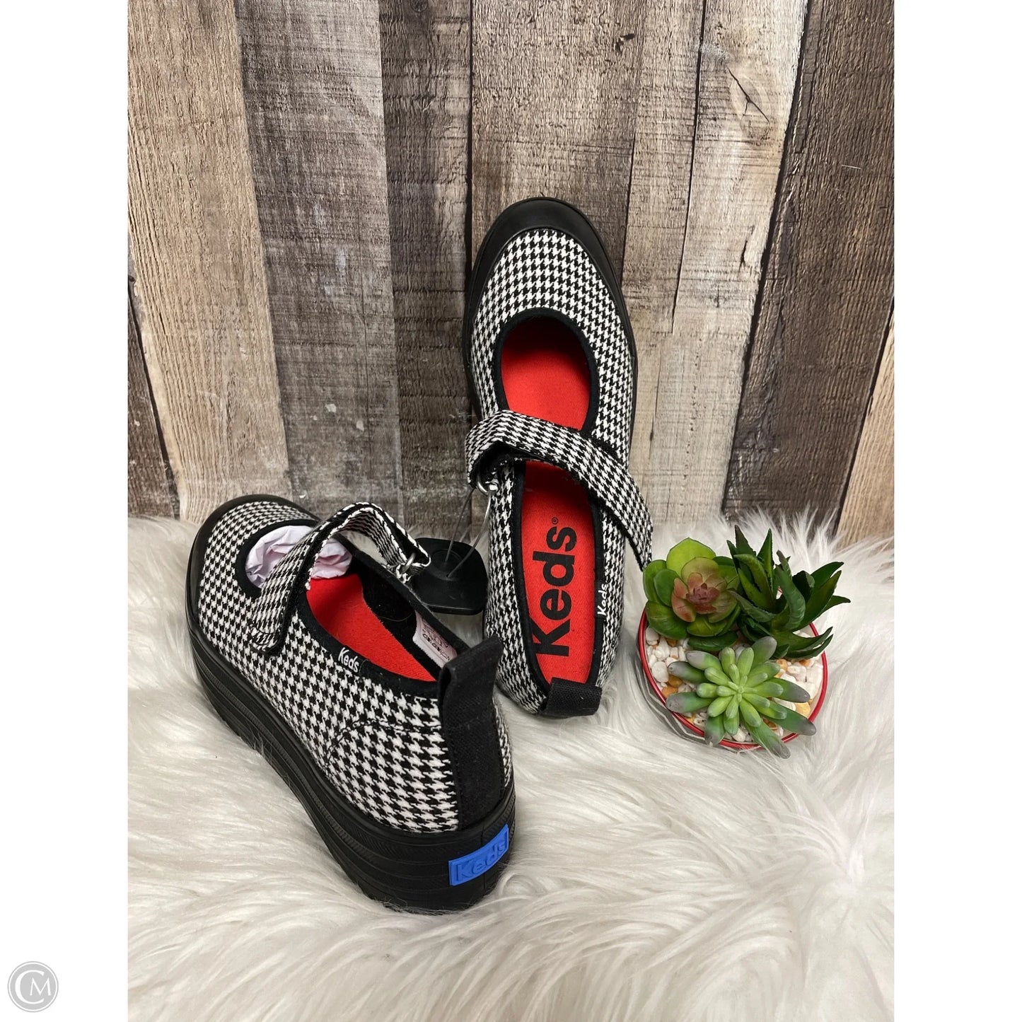 Shoes Flats By Keds In Checkered Pattern, Size: 8