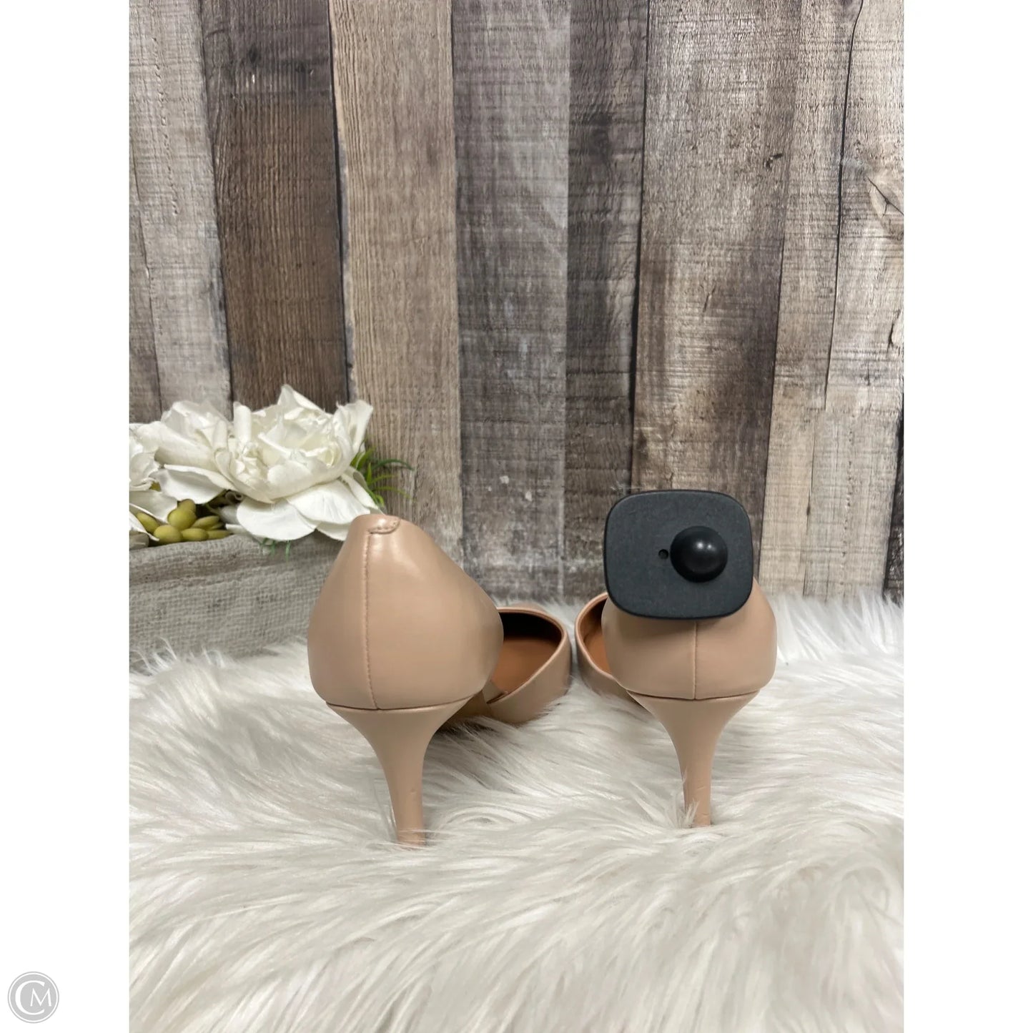 Shoes Heels Stiletto By Calvin Klein In Tan, Size: 7.5