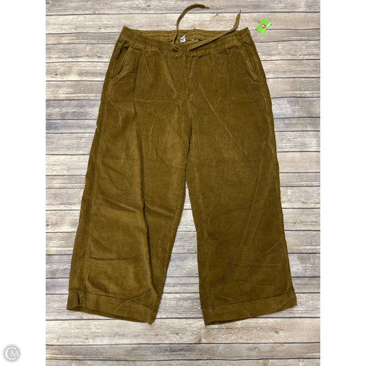 Pants Corduroy By Old Navy In Brown, Size: Xl