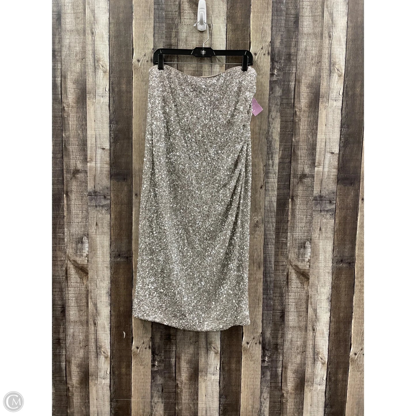 Skirt Maxi By Express In Silver, Size: Xl