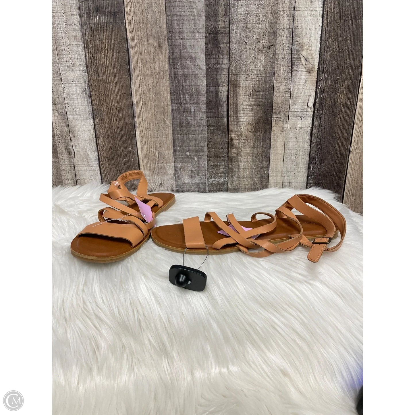 Sandals Flats By Toms In Tan, Size: 10