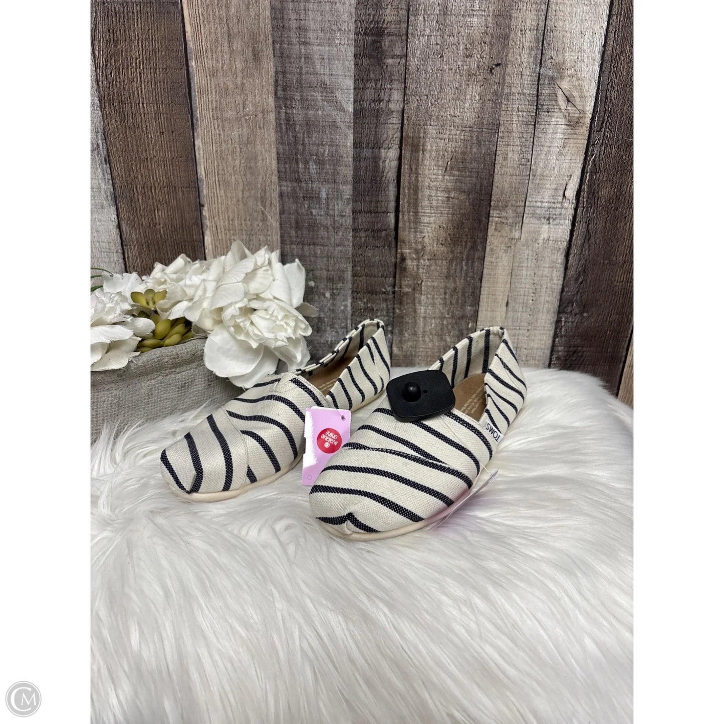 Shoes Flats By Toms In Black & Cream, Size: 7