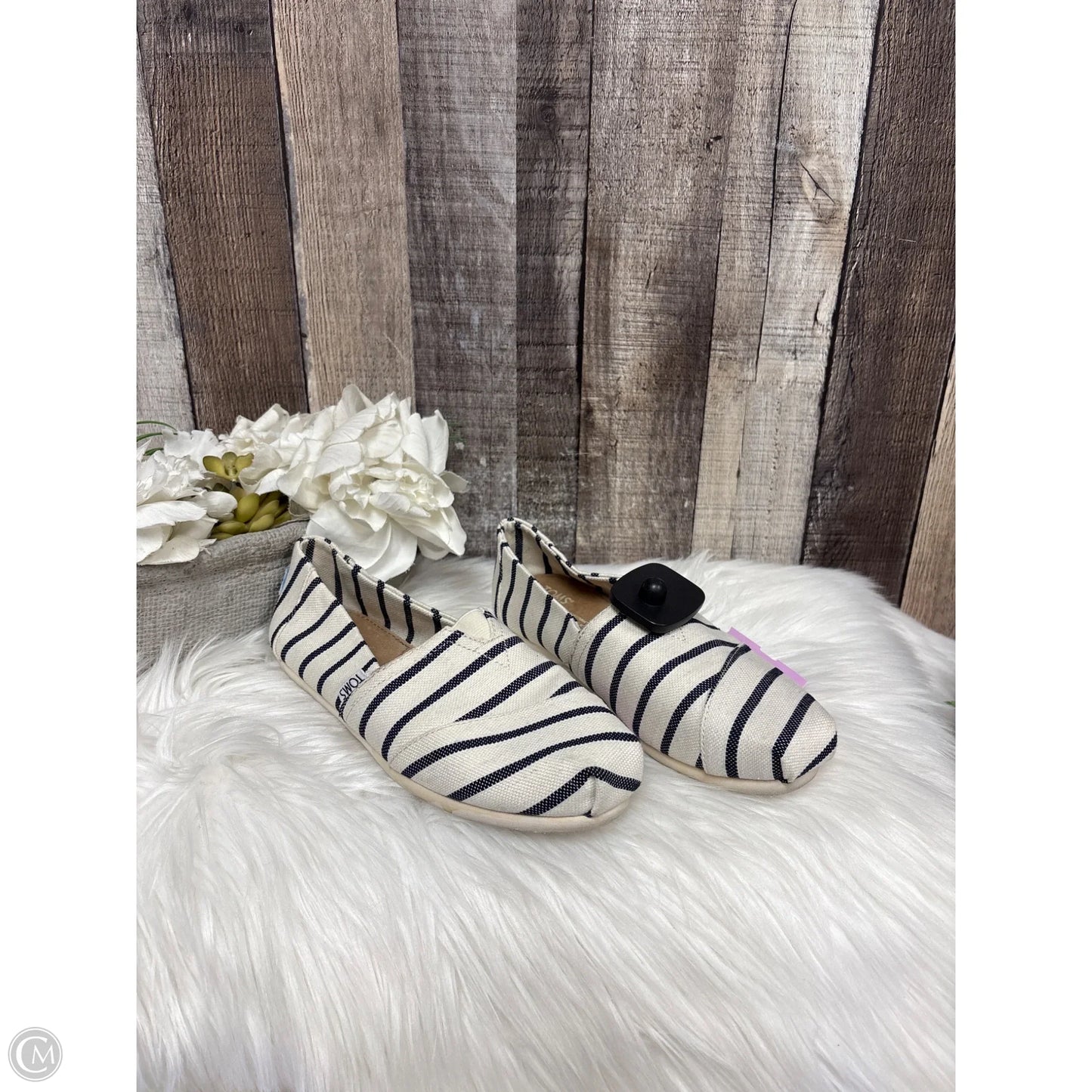 Shoes Flats By Toms In Black & Cream, Size: 7