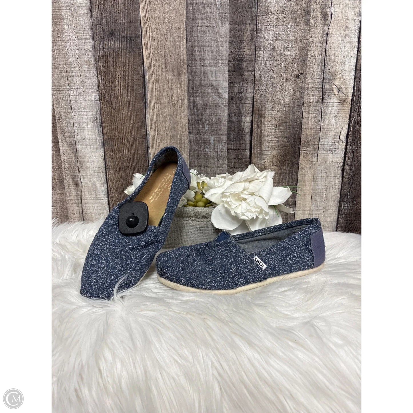 Shoes Flats By Toms In Blue, Size: 7