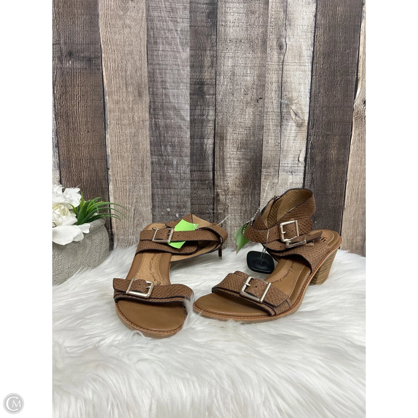 Sandals Heels Block By Sofft In Tan, Size: 9.5
