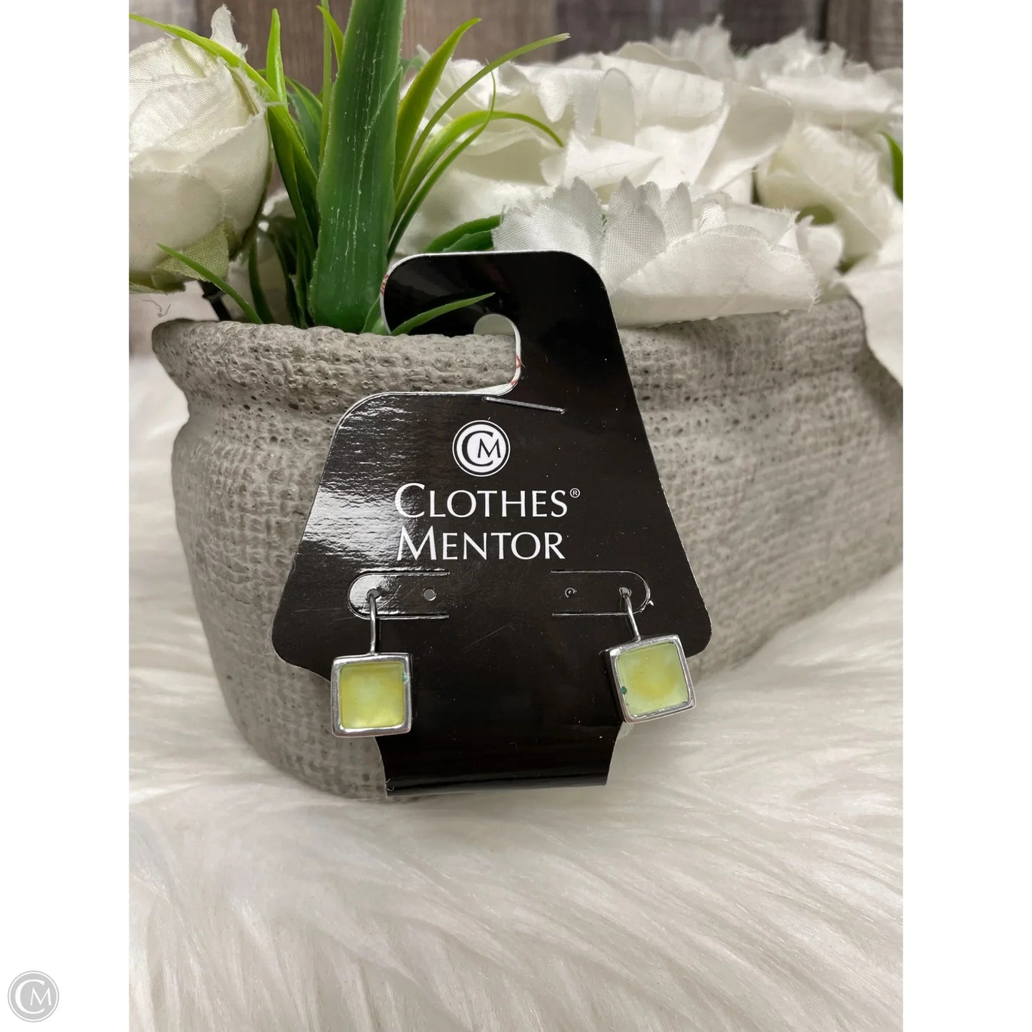 Earrings Dangle/drop By Nine West