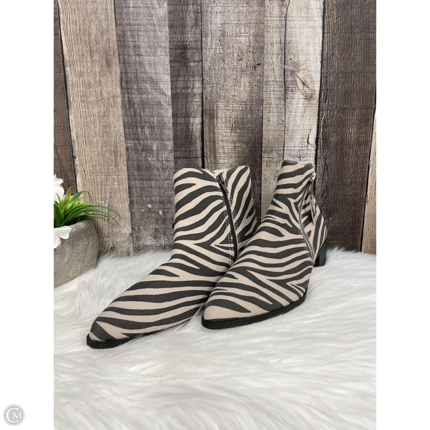 Boots Ankle Heels By Worthington In Zebra Print, Size: 8.5