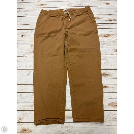 Pants Other By Time And Tru In Tan, Size: 16