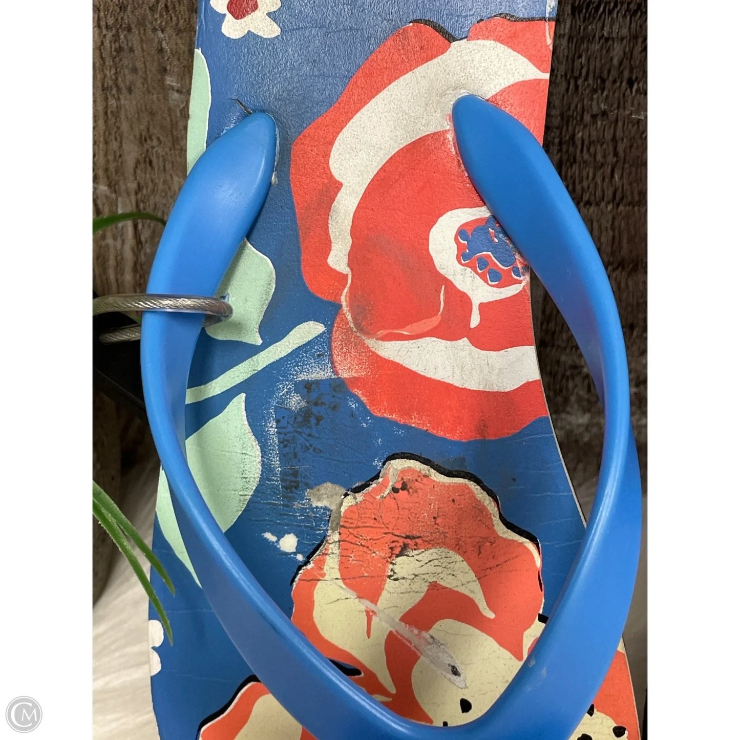 Sandals Designer By Kate Spade In Multi-colored, Size: 8