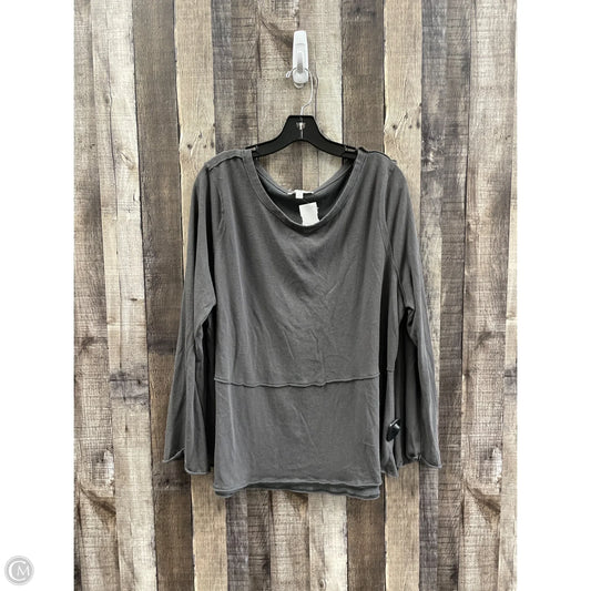 Top Long Sleeve By Umgee In Grey, Size: 1x