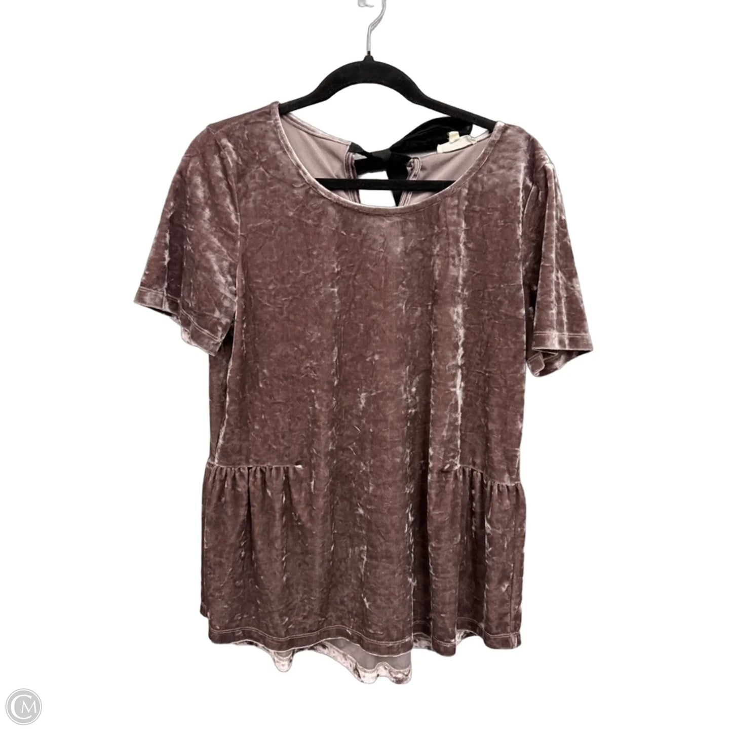 Top Short Sleeve By Pleione In Brown, Size: L