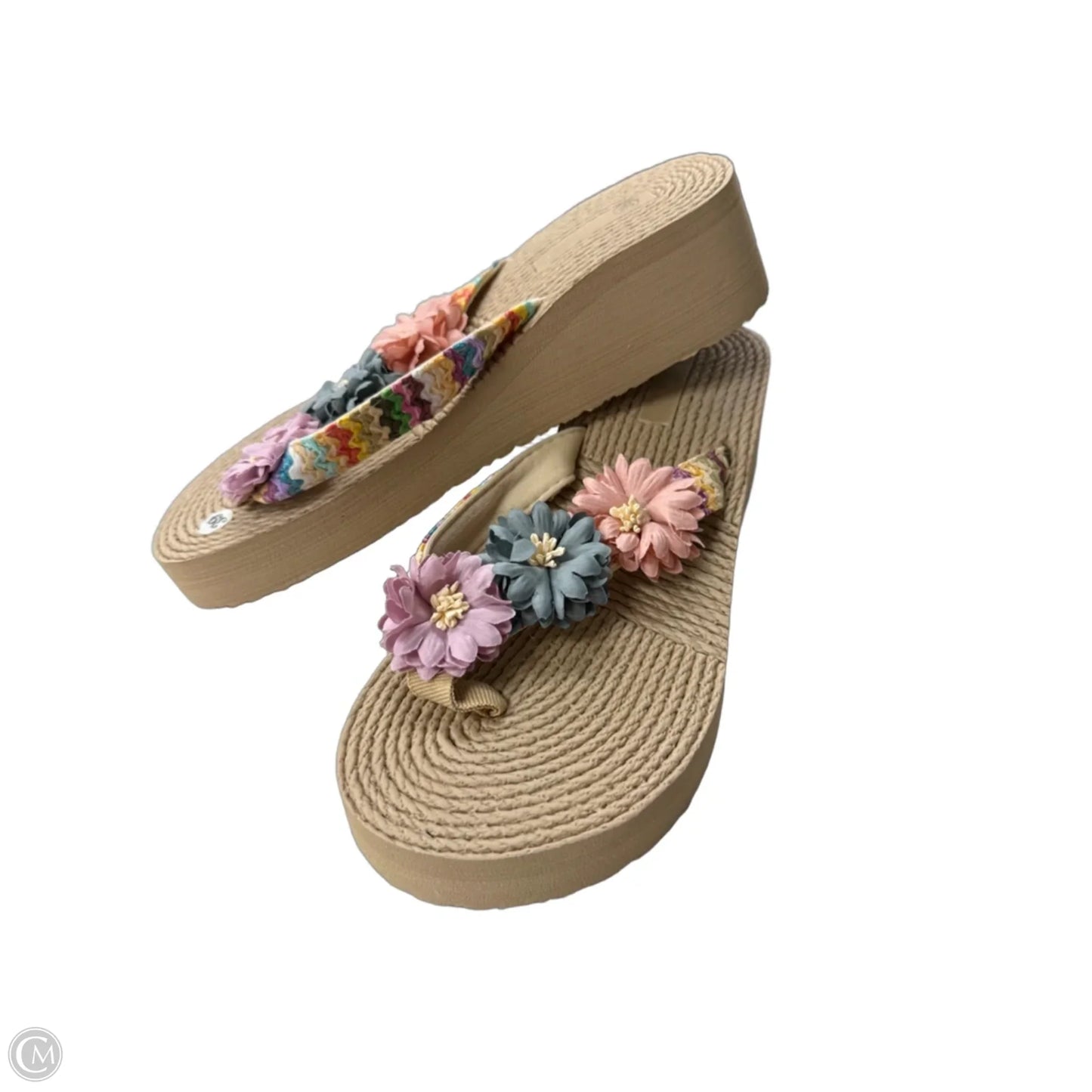 Sandals Flip Flops By Clothes Mentor In Floral Print, Size: 8.5