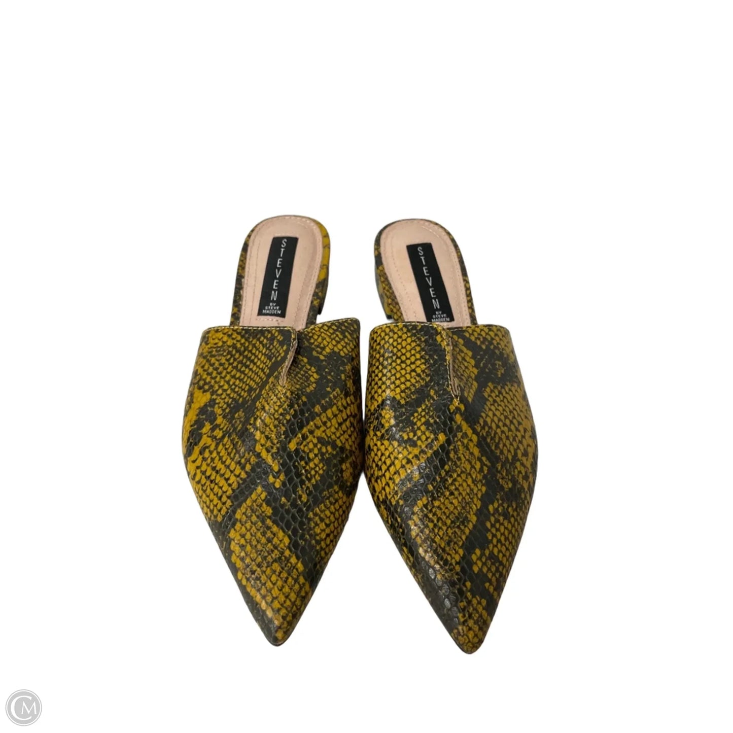 Shoes Flats By Steve Madden In Snakeskin Print, Size: 7