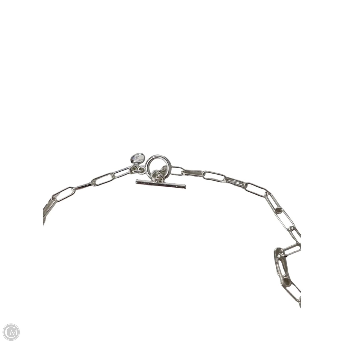 Necklace Chain By J. Crew