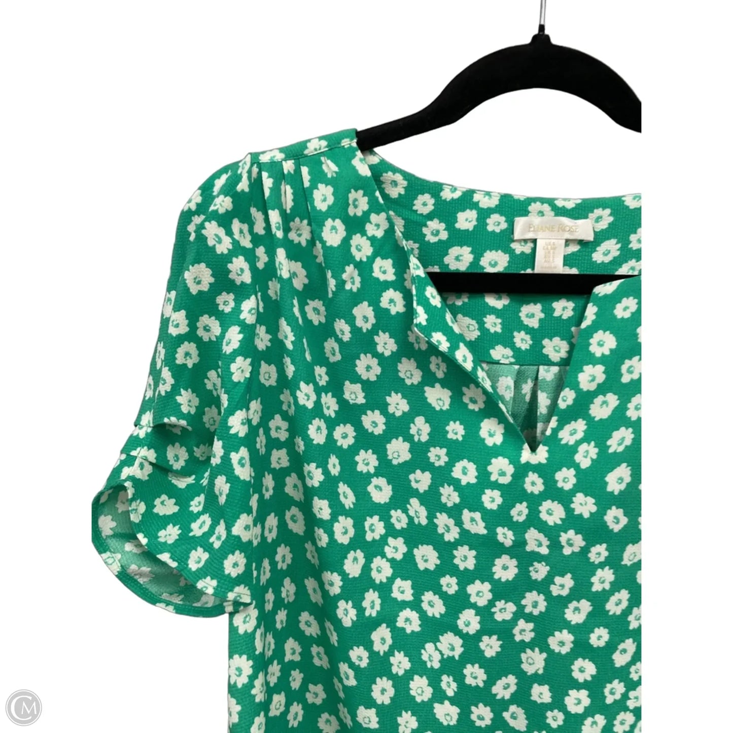 Top Short Sleeve By Eliane Rose In Green & White, Size: S