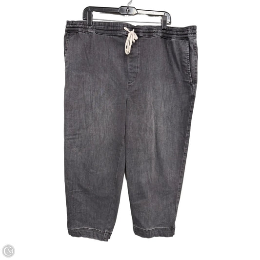 Pants Other By Free Assembly In Grey, Size: 3x