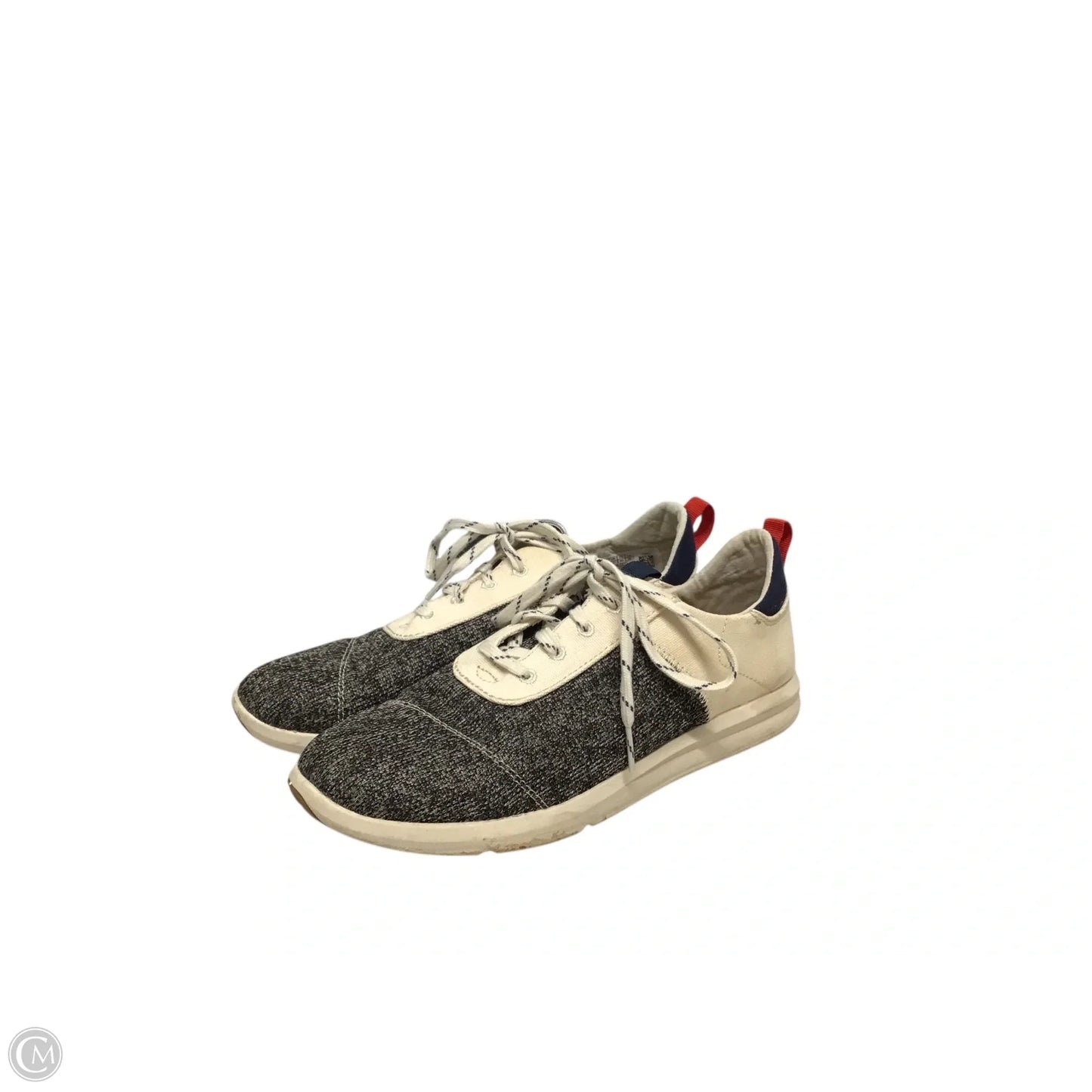Shoes Sneakers By Toms In Cream & Grey, Size: 9