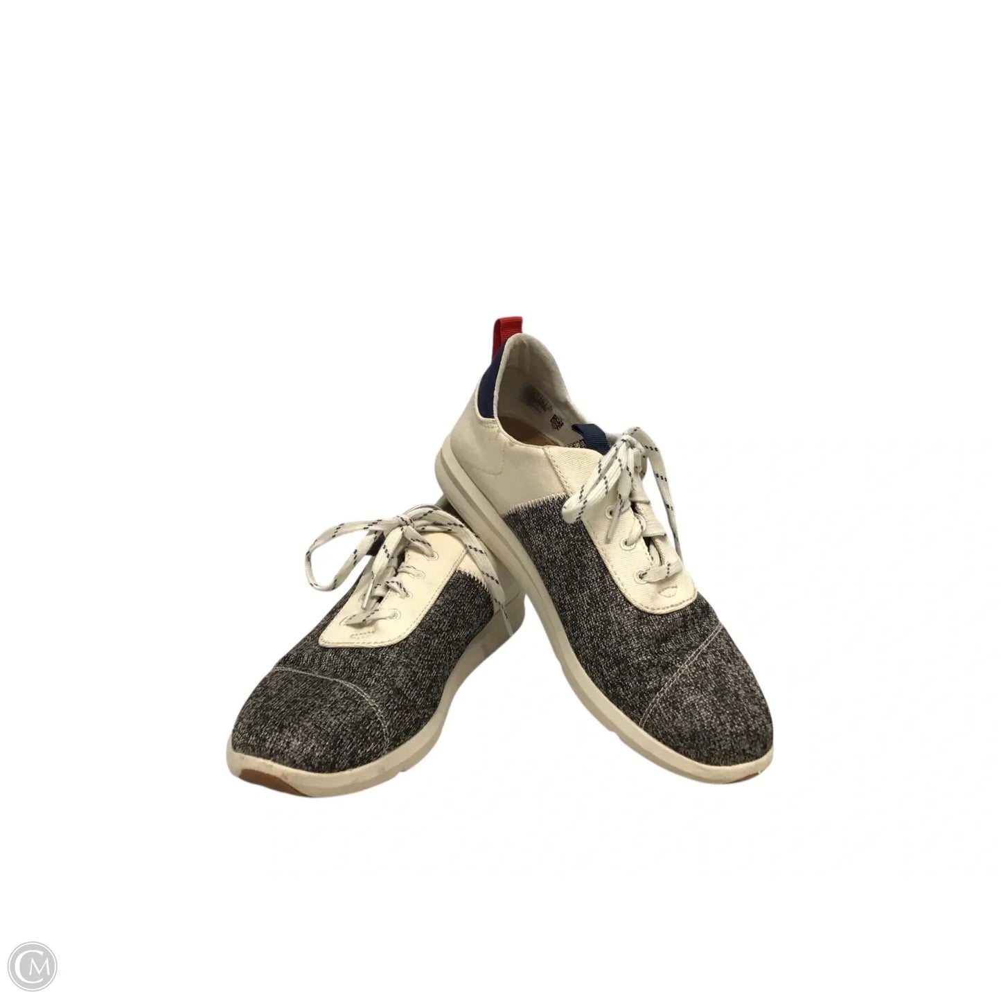 Shoes Sneakers By Toms In Cream & Grey, Size: 9