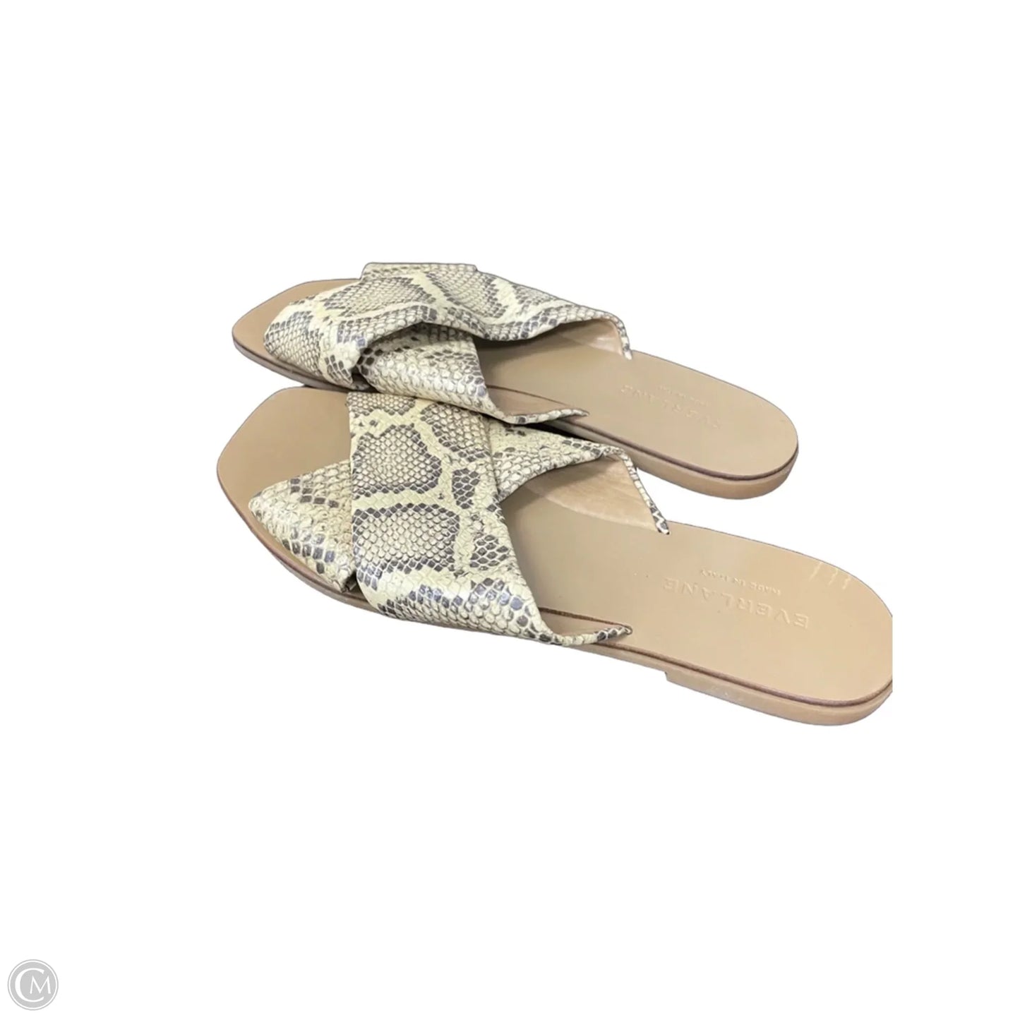 Sandals Flats By Everlane In Snakeskin Print, Size: 8