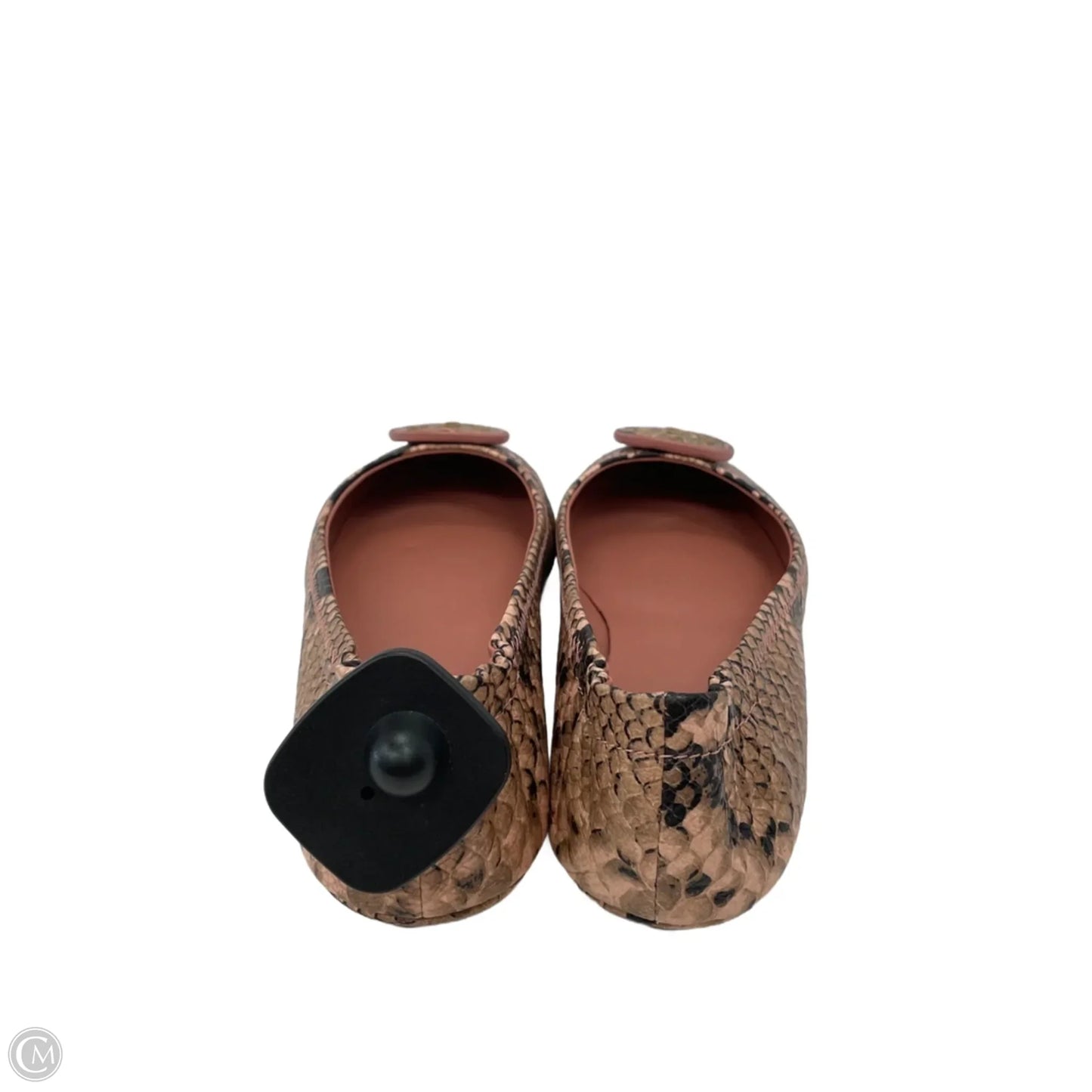 Shoes Designer By Tory Burch In Snakeskin Print, Size: 7.5