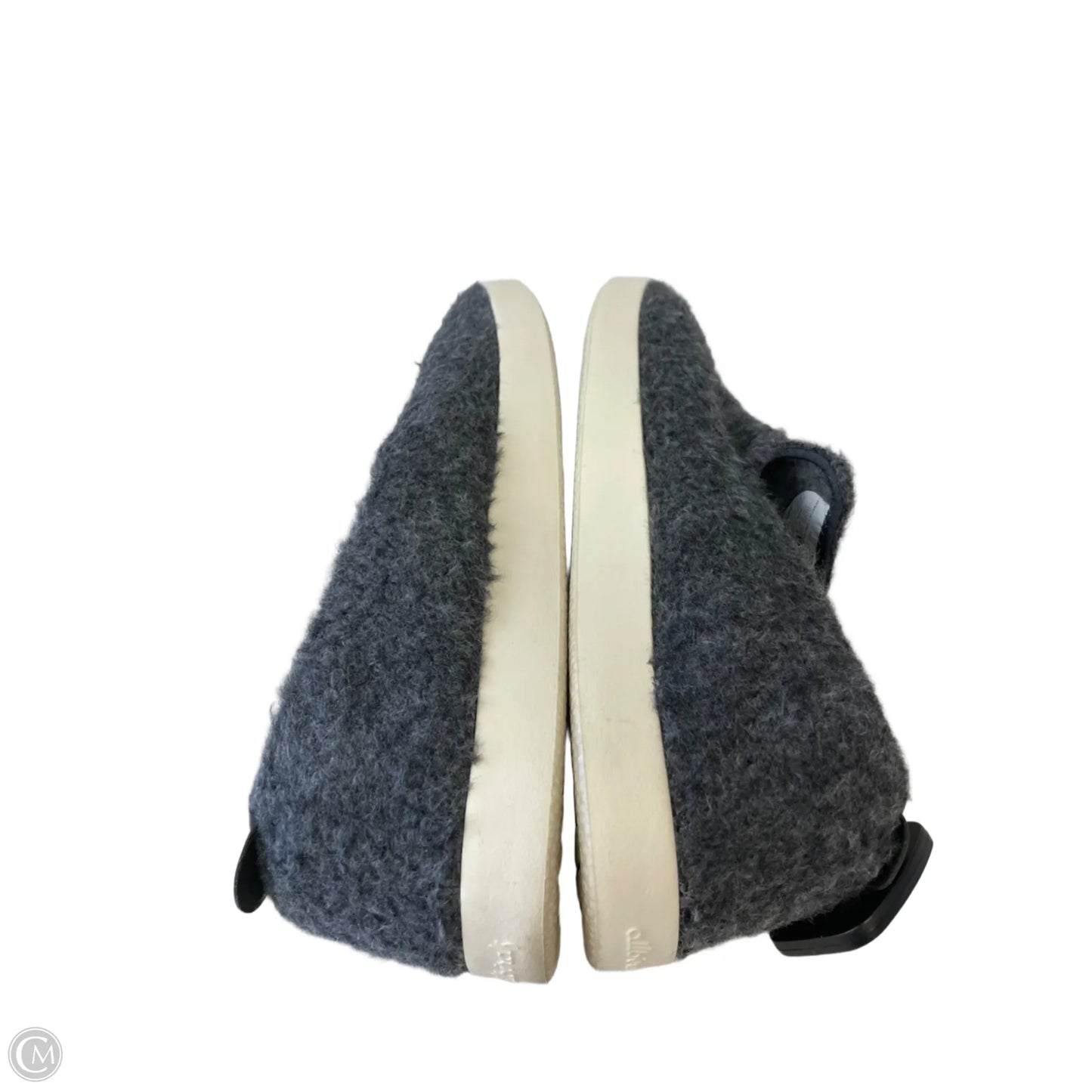 Shoes Sneakers By Allbirds In Grey, Size: 10