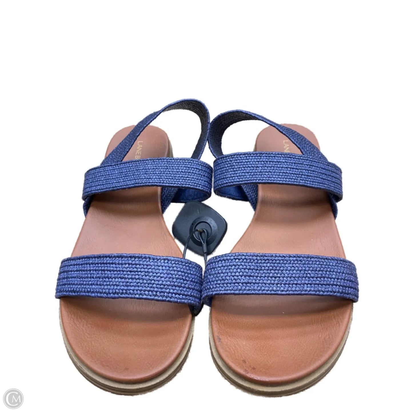 Sandals Flats By Lane Bryant In Navy, Size: 10